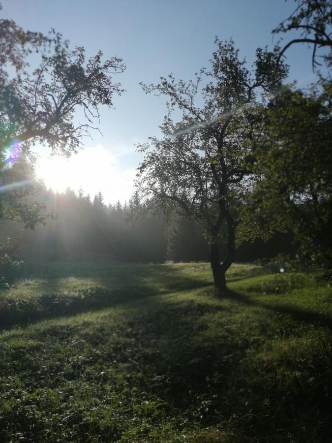 Ferienwohnung Bühlhäusl Grünau im Almtal Exterior foto